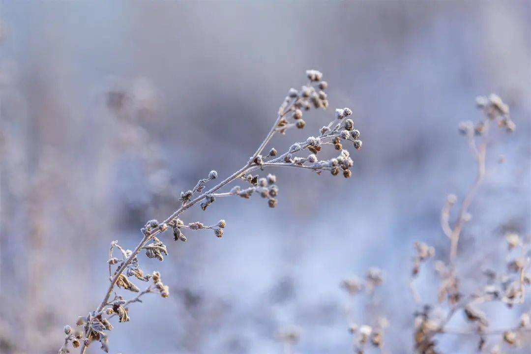 小雪 ▎冬藏萬(wàn)物，歲月沉香