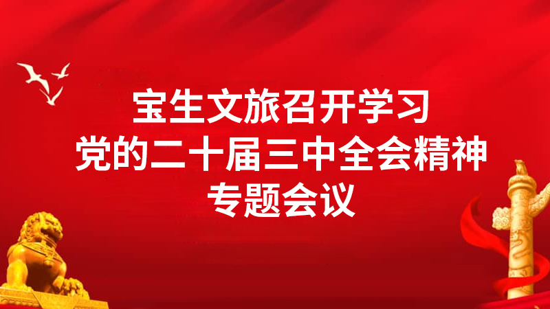 寶生文旅召開學(xué)習(xí)黨的二十屆三中全會精神專題會議